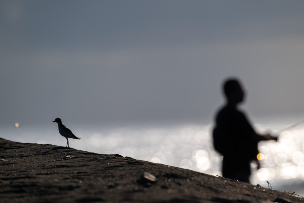釣り人とメダイチドリのシルエット